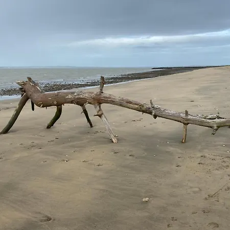 Entre Plage Et Marais Holiday home Bourcefranc