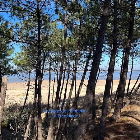 Entre Plage Et Marais Bourcefranc