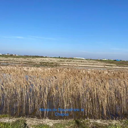 Holiday home Entre Plage Et Marais Bourcefranc