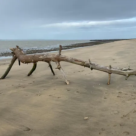 Entre Plage Et Marais Holiday home *
